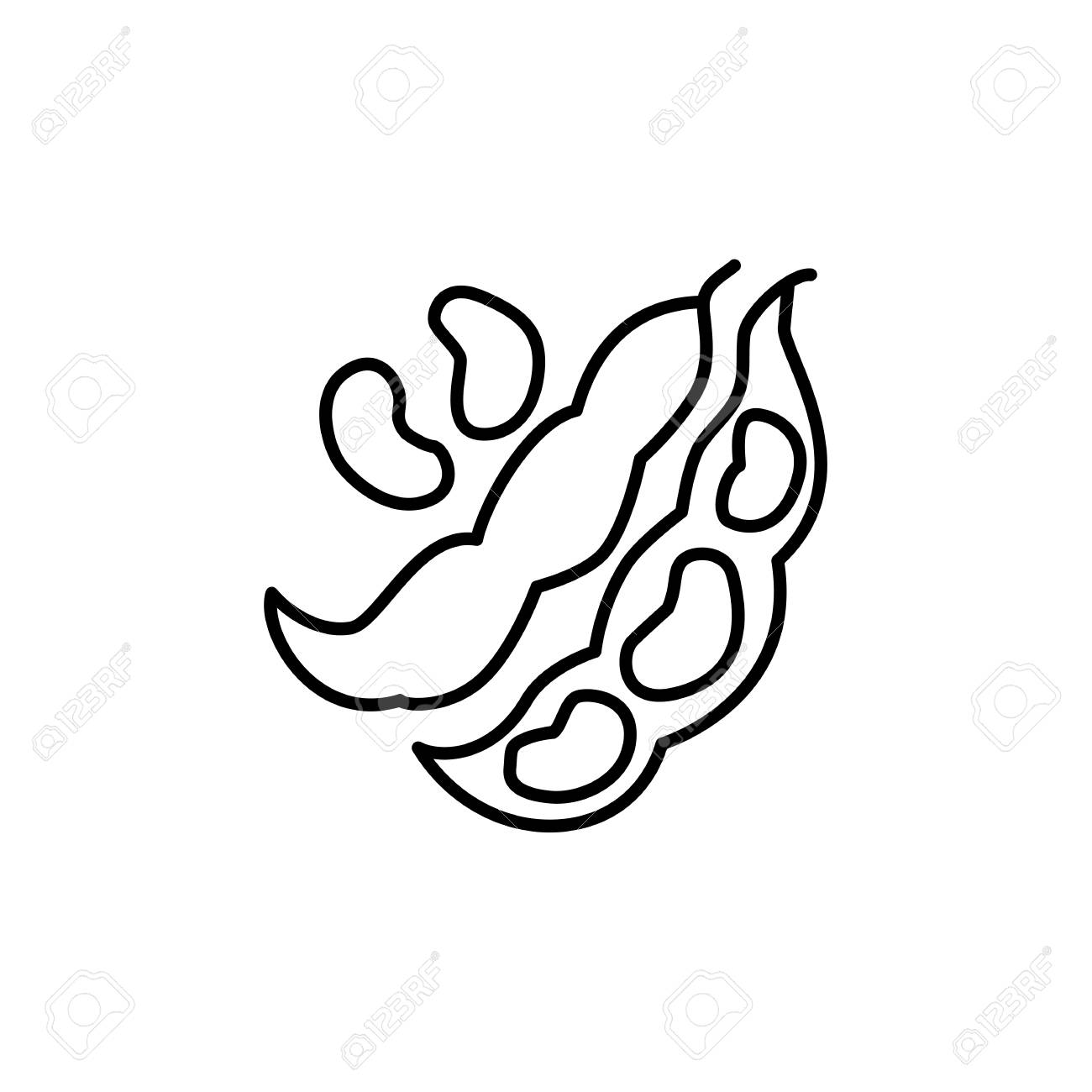 Black &amp; white vector illustration of red kidney beans. Line icon of bean pods &amp; seeds. Vegan &amp; vegetarian food. Health eating ingredient. Isolated object on white background.